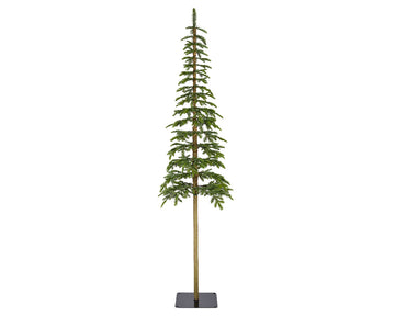 Alpine fir