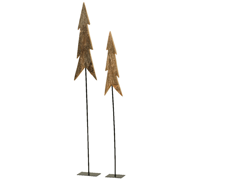 Paulownia wood tree on iron base